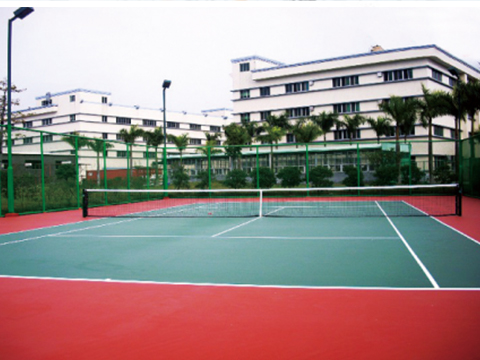 硅PU塑胶球场